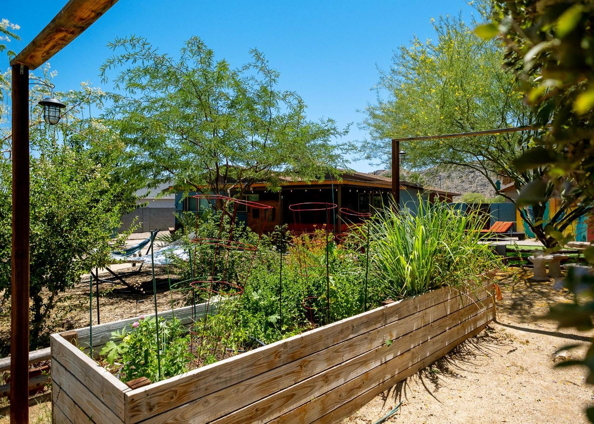 The Hummingbird House, Sauna & Mountain Views! Phoenix Exteriör bild